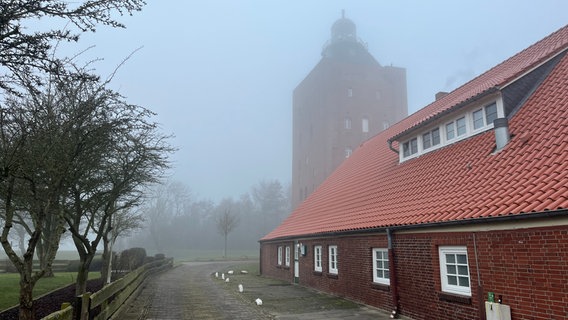 Nebel zieht über das Ufer der Insel Neuwerk © Balthasar Hümbs / NDR Foto: Balthasar Hümbs