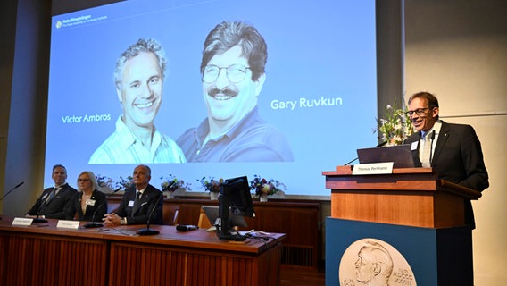 Die Gewinner des Nobelpreises für Medizin 2024, Victor Ambros (l-r, Leinwand) und Gary Ruvkun, von denen Fotos auf eine Leinwand projiziert werden. © dpa Bildfunk Foto: Christine Olsson