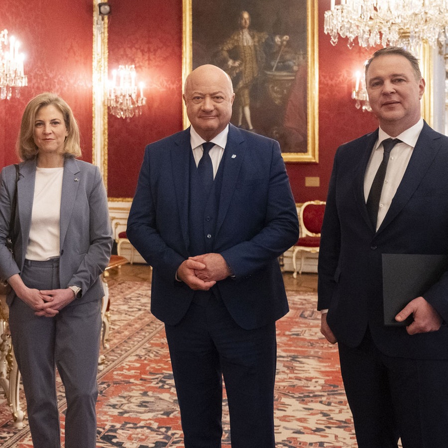 Österreichs Bundespräsident Alexander Van der Bellen (von links nach rechts), NEOS-Bundesparteichefin Beate Meinl-Reisinger, ÖVP-Chef Christian Stocker und SPÖ-Chef Andreas Babler stehen in der Präsidentschaftskanzlei in Wien. © dpa-Bildfunk Foto: Carina Karlovits