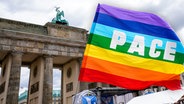 Die Fahne der internationalen Friedensbewegung vor dem Brandenburger Tor. © picture alliance / SULUPRESS Foto: Marc Vorwerk