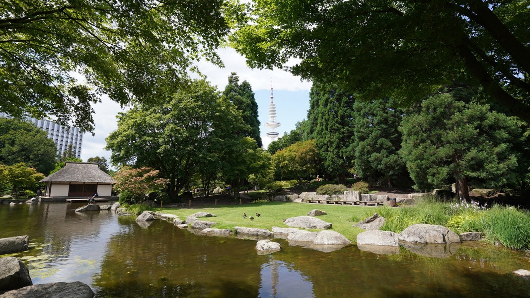 Blick auf das Teehaus (hinten l) und den Teich im Japanischen Garten im Park «Planten un Blomen». Der Japanische Garten gehört zu Hamburgs Wahrzeichen. Der Garten entstand 1990 nach einem Konzept des japanischen Landschaftsarchitekten Yoshikuni Araki und ist der größte seiner Art in Europa.