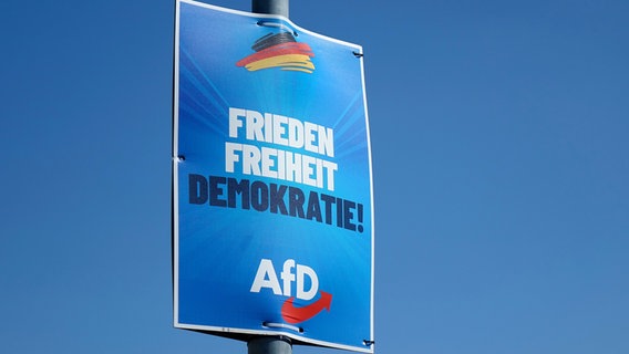 Borkwalde, Brandenburg, Wahlkplakat der AfD © picture alliance / ZB Foto: Sascha Steinach