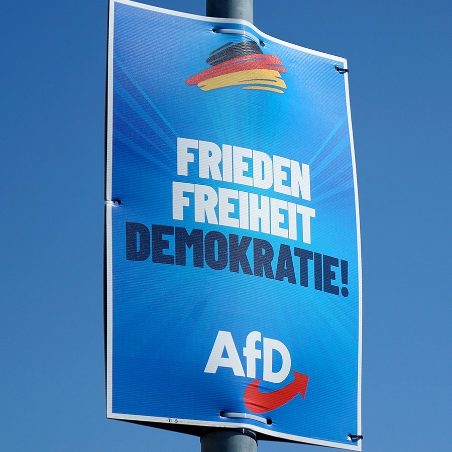 Borkwalde, Brandenburg, Wahlkplakat der AfD © picture alliance / ZB Foto: Sascha Steinach