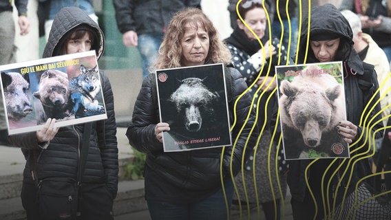 Mehrere Frauen protestieren für eine Freilassung von Bärin JJ4 in Italien. © picture alliance Foto: Pierre Teyssot
