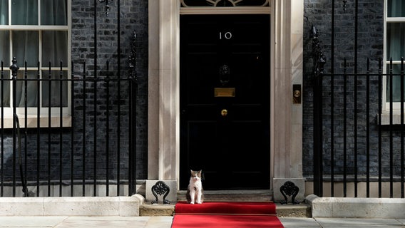 Kater Larry sitzt am Eingang der 10 Downing Street in London (Großbritannien). © AP/dpa Foto: Frank Augstein