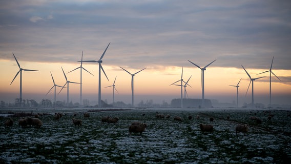 Schafe stehen im Ortsteil Oldenbrok auf einer verschneiten Weide, während die untergehende Sonne den Himmel hinter Windkraftanlagen am Horizont in ein warmes Licht taucht. © picture alliance Foto: Hauke-Christian Dittrich