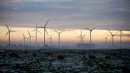 Schafe stehen im Ortsteil Oldenbrok auf einer verschneiten Weide, während die untergehende Sonne den Himmel hinter Windkraftanlagen am Horizont in ein warmes Licht taucht. © picture alliance Foto: Hauke-Christian Dittrich