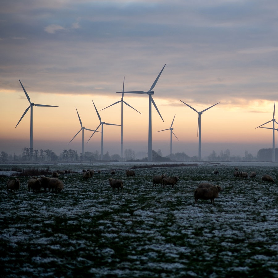 Schafe stehen im Ortsteil Oldenbrok auf einer verschneiten Weide, während die untergehende Sonne den Himmel hinter Windkraftanlagen am Horizont in ein warmes Licht taucht. © picture alliance Foto: Hauke-Christian Dittrich