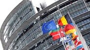 Die Flaggen der Mitgliedsstaaten der Europäischen Union wehen am vor dem Gebäude des Europäischen Parlaments in Straßburg im Wind (Archivbild). © picture alliance / dpa | Foto: Patrick Seeger