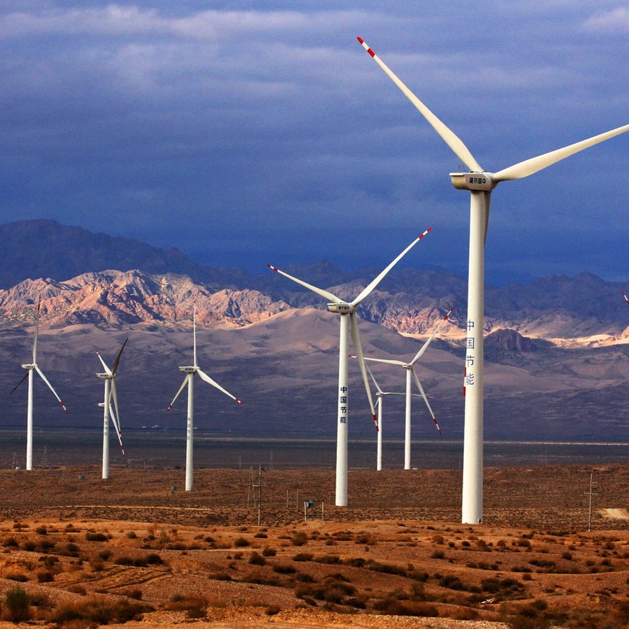 Ein Windpark in der Wüste Gobi © Imago 