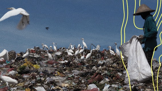 Ein Mann sammelt Plastik auf der Insel Bali, Indonesien. © picture alliance Foto: Mahendra Moonstar