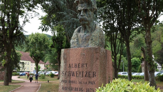 Ein Denkmal von Albert Schweitzer. © picture alliance/dpa/MAXPPP | Hervé Kielwasser Foto: Hervé Kielwasser