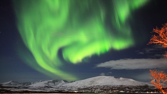 Polarlicht über der Insel Kvalöya in der norwegischen Provinz Tromsö. © dpa Foto: Hirnich Bäsemann