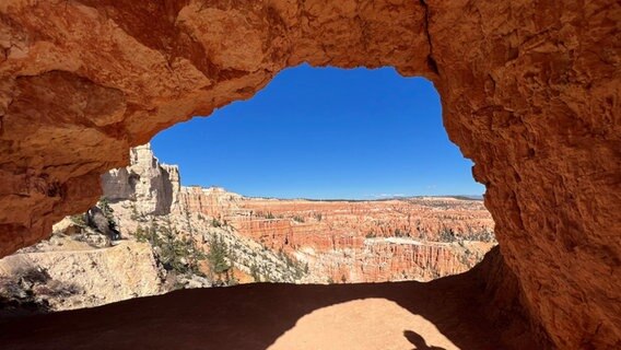 Die farbigen Felsen im Naturpark Bryce Canyon im US-Staat Utah. © ARD Washington Foto: Katrin Brand