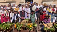 Bäuerinnen und Bauern von Orangenplantagen präsentieren sich in Trachten beim Ernte-Dank-Fest in Vallauris (Frankreich). © NDR Foto: Stefanie Markert