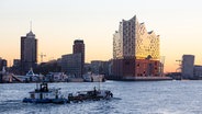 Die Elbphilharmonie im Hamburger Hafen. © dpa Bildfunk Foto: Christian Charisius