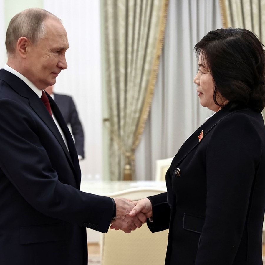 Nordkoreas Außenministerin trifft Putin