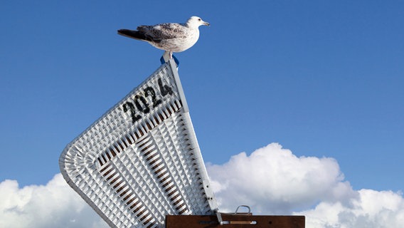 Eine Möwe sitzt auf einem Strandkorb auf dem 2024 steht. © photocase Foto: MacRein