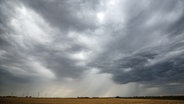 Eine Regenfront zieht über ein Getreidefeld hinweg. ©  Jan Woitas/dpa 