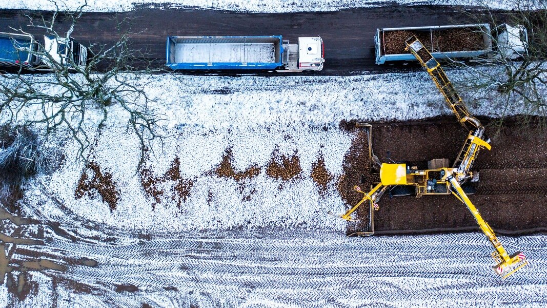 Trotz Schneefall werden mit einer sogenannten Rübenmaus Zuckerrüben von einer Miete auf einen LKW verladen (Luftaufnahme mit einer Drohne). 