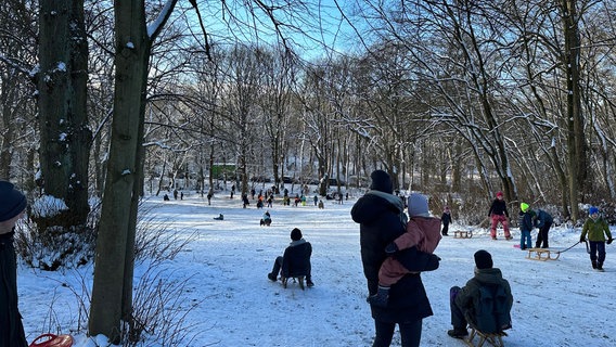 Winterlicher Hügel mit Schlittenfahrern im Hamburger Amsinckpark © NDR Foto: Jörn Rollfinke