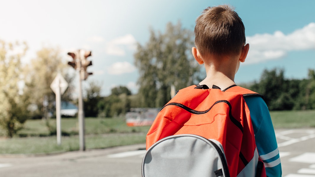 Ferienende in MV: Wie gut sind Rostocks Schulen vorbereitet?