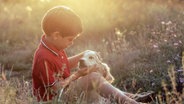 Ein Junge sitzt mit seinem Hund auf einer Wiese. © Zoonar Foto: Kristina Kokhanova