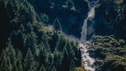 Ein tosender Floss mit Wasserfall zwischen Tannenwäldern in Osttirol, in Hohen Tauen © NDR Foto: Ilka Tempel