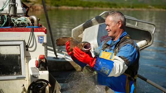 Ein Fischer betrachtet seinen Fang auf seinem Boot © NDR Foto: Marco Schulze / Johannes Koch