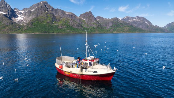 Ein rotweißes Boot auf dem blauen Fjord in den norwegischen Lofoten © NDR Foto: Marco Schulze / Johannes Koch