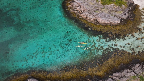 Luftaufnahme vom türkischen Wasser in einem Fjord der Lofoten mit Landanteil © NDR Foto: Marco Schulze / Johannes Koch