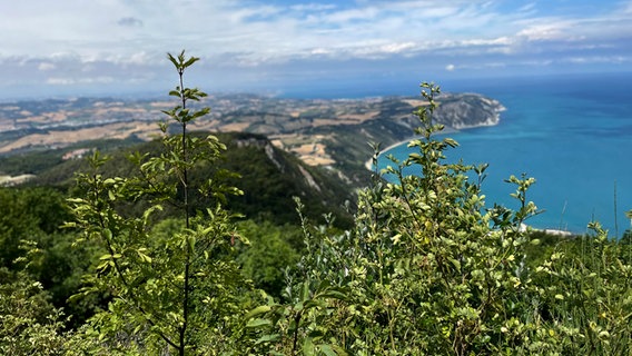 Eine Meereszunge und Bucht in Italien der Region Marken, davor sind Sträucher und Grün vor dem blauen Hintergrund des Meeres zu erkennen © NDR Foto: Thorsten Philipps