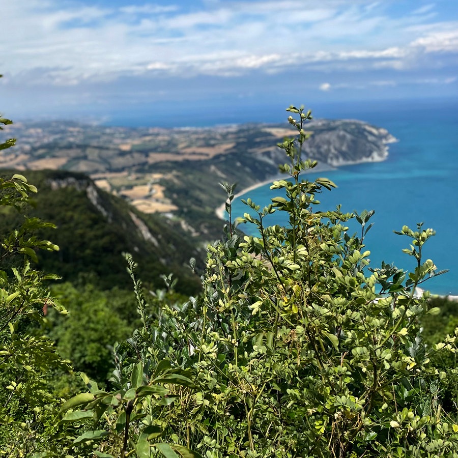 Eine Meereszunge und Bucht in Italien der Region Marken, davor sind Sträucher und Grün vor dem blauen Hintergrund des Meeres zu erkennen © NDR Foto: Thorsten Philipps