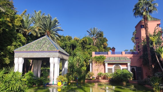 Eine Teich vor bunten Häusern und einer Palme in im Garten Majorelle, Marrakesch © NDR Foto: Isa Hoffinger