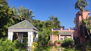 Eine Teich vor bunten Häusern und einer Palme in im Garten Majorelle, Marrakesch © NDR Foto: Isa Hoffinger