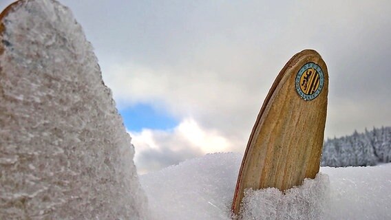 Ski-Bretter im Schnee von Thüringen © NDR Foto: Jörg Wunram