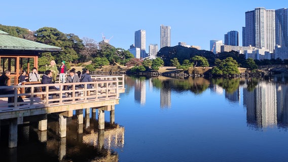 Ein Park spiegelt sich im Wasser in Tokio, dahinter ist die Skyline der Stadt zu sehen © NDR Foto: Isa Hoffinger