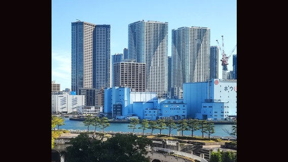 Grauweiße Hochhäuser im Tageslicht, davor niedrigere hellblaue Gebäude liegen am Wasser (Skyline von Tokyo) © NDR Foto: Isa Hoffinger