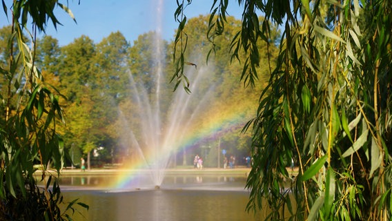 Eine Fontäne mit einem Regenbogen im Schlosspark von Celle © NDR Foto: Gerhard Schönfeld