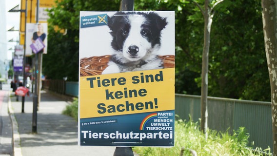 Wahlplakat der Tierschutzpartei zur Europawahl 2024 © picture alliance / Wolfgang Minich | Wolfgang Minich 