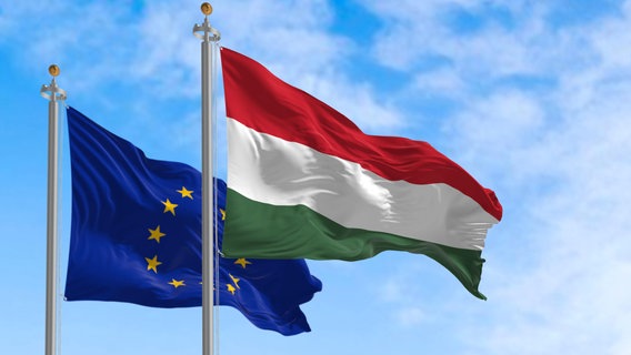 Die Flaggen von Ungarn und der Europäischen Union wehen im Wind. © picture alliance / Zoonar Foto: Valerio Rosati