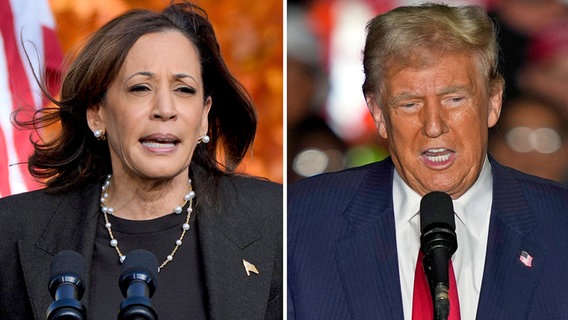 Porträtbilder von Donald Trump und Kamala Harris in einer Collage nebeneinander montiert. © dpa bildfunk/AP 