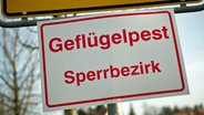 An einem Ortseingangsschild hängt ein Schild mit der Aufschrift "Geflügelpest Sperrbezirk". © Arno Burgi/dpa-Zentralbild/dpa 