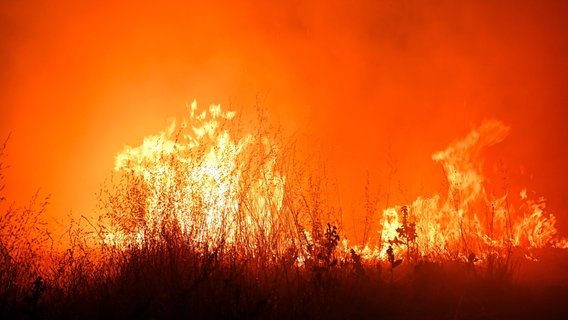Brennendes Gestrüpp bei einem Feuer im Wald. © picture alliance/Anadolu 