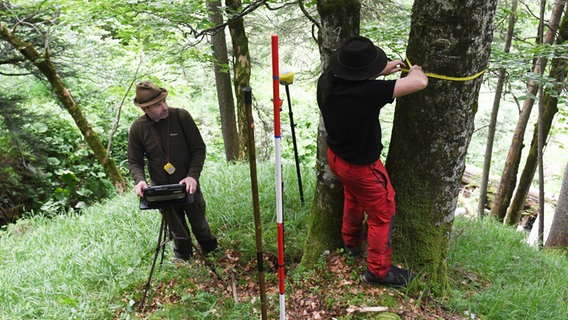 Zwei Förster arbeiten bei einer Waldinventur in einem Wald in Bayern. © Angelika Warmuth/dpa 