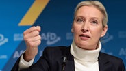 Alice Weidel bei der Vorstellung als AfD-Kanzlerkandidatin zur Bundestagswahl 2025. © dpa-Bildfunk Foto: Carsten Koall