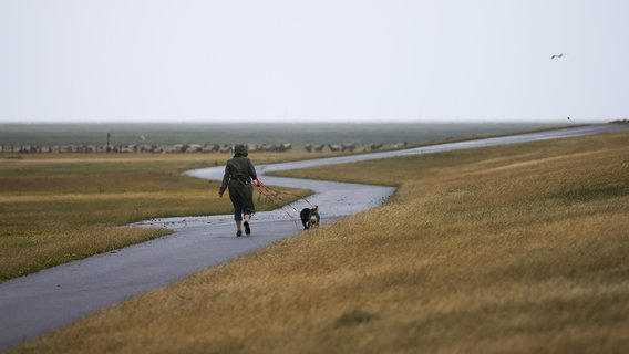 Eine Frau geht mit ihren Hunden bei stürmischem Wetter und leichtem Regen auf einem Weg am Deich spazieren. © dpa Foto: Christian Charisius