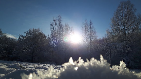 Eine Schneelandschaft in Garbsen. © NDR Foto: Michael Horn
