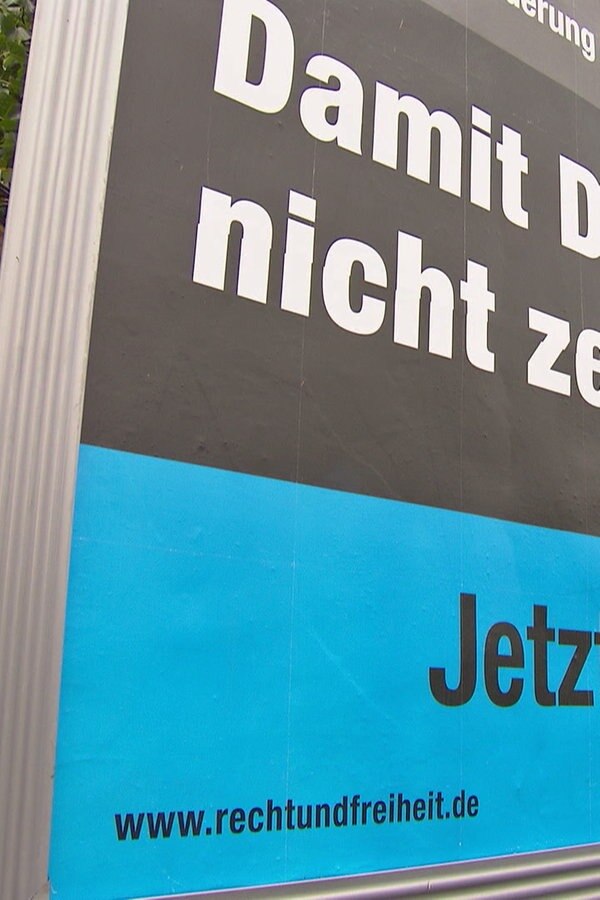 AfDWahlwerbung durch Verein finanziert? NDR.de