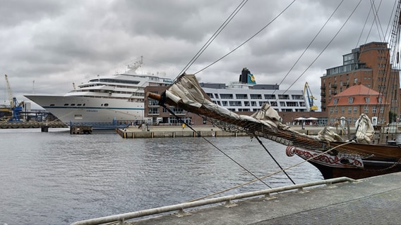 MS Amadea im Hafen von Wismar © NDR Foto: Christoph Woest